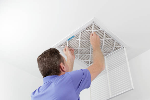 Best Dryer Vent Cleaning Services  in Beaverton, MI